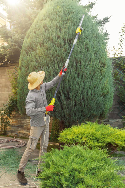 Best Lawn Pest Prevention  in Sebastian, TX